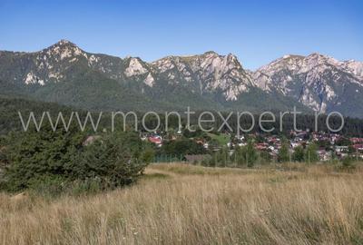 Teren Busteni, Piatra Arsa, de Vanzare. Vedere Superba Spre Muntii Bucegi. - 2