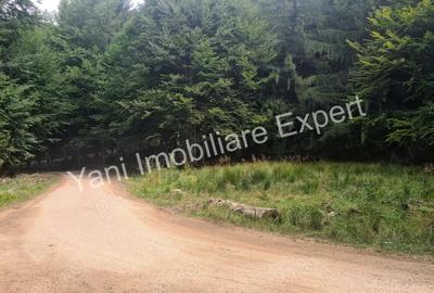 Teren de vanzare in apropiere de Transfagara?an ?i Valea Valsanului. - 15