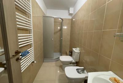 Apartament cu 3 camere decomandat, mobilat în Serele Vișoianu - 3