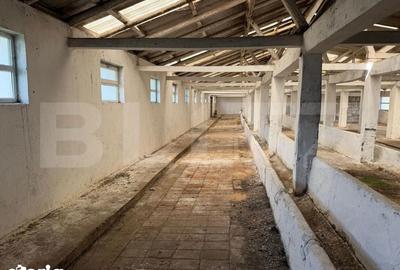 Spațiu comercial, de 952 mp, în Hănțești - 5