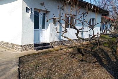 Casă cu Teren 2000 Mp în Chiselet - 1