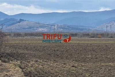 Teren de 1600 mp, în Industrială - 2