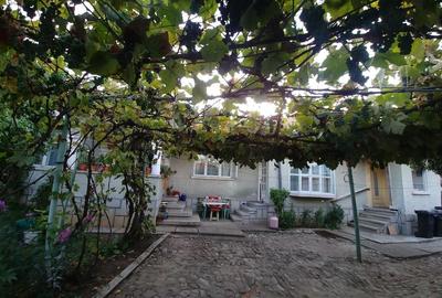 Casă cu Teren 338 Mp în Bănești - 3