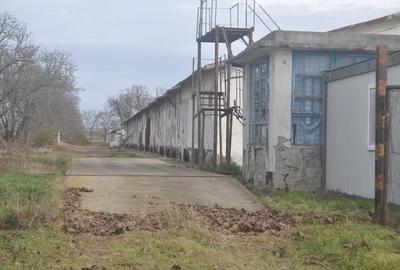Spațiu industrial, în Ceamurlia de Jos - 11