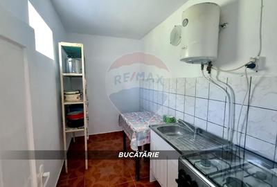 Casă individuală cu 3 camere cu Teren 3000 Mp în Cernești - 15