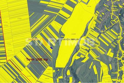 Teren Intravilan Tarlugeni - 6