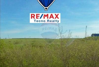 Teren 5,9 ha intravilan front stradal 150 m la 8km de Arad - 4