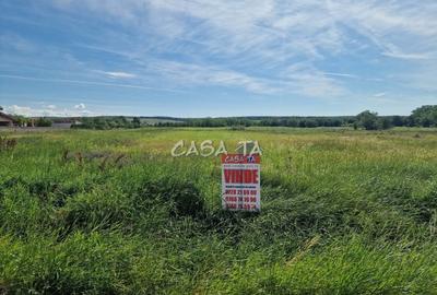 Teren Construcții intravilan de 3405 mp, în Preajba Mare - 5