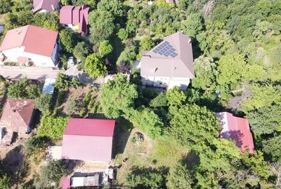 Casa cu aer de refugiu, langa Gradina Botanica - 4