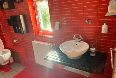 Vanzare casa pipera - 5