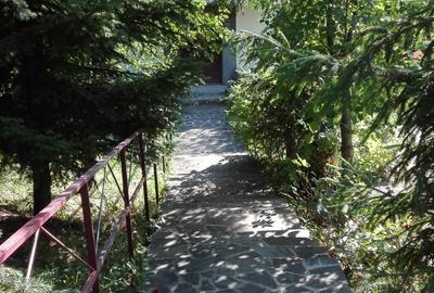 Breaza Judet Prahova casa de exceptie - OFERTA - 8