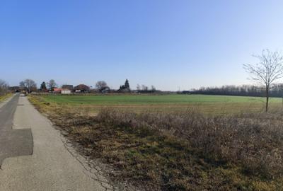 Gradistea/Zona padure - 5