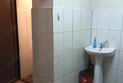Inchiriere spa?iu - 4