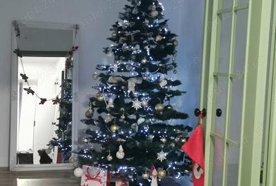 Apartament cu 2 camere decomandat în Ultracentral - 3