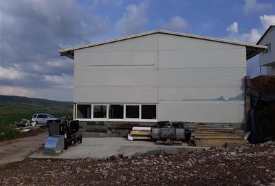 Inchiriere hala pentru depozitare sau atelier Iris - Valea Chintaului - 4