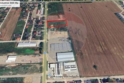 Teren 5.000mp Balotesti cu autorizatie hala - 7