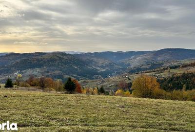 Teren de 17278 mp, în Horea - 1