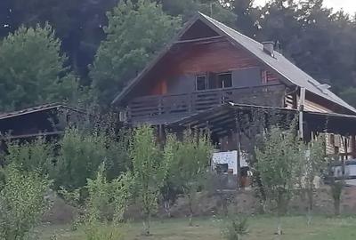 Casa cabana de vanzare