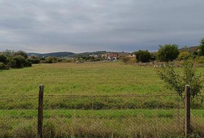 Teren intravilan 8000 mp , DR.D.Vechi - 6