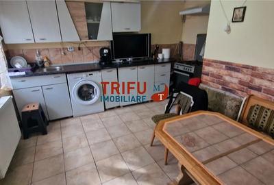 Casă cu 2 camere cu Teren 437 Mp în Ighiu - 9
