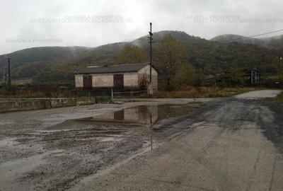 Teren 13.224,41 mp Vetel - 1