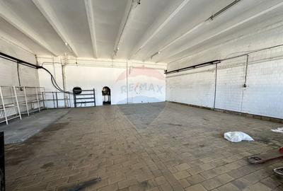 Hale Brailei Plus Frig Hale Brailei Plus Frig - 2