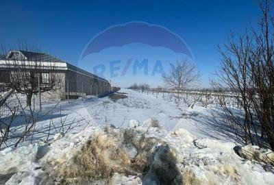 Teren intravilan Rastoaca - Varsatura - 3