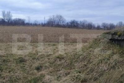 Casă cu 4 camere în Central - 18