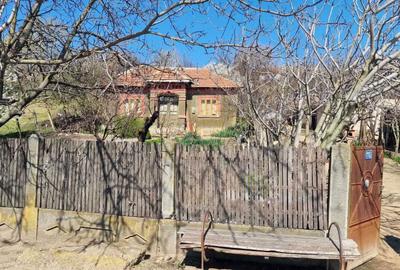 Casă cu 4 camere în Ianca - 2