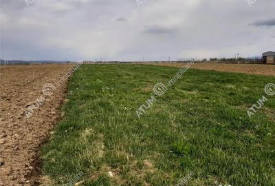 Teren de 1400 mp, în Avrig - 4