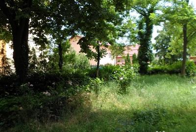 Apartament cu 3 camere decomandat în Cina - 1