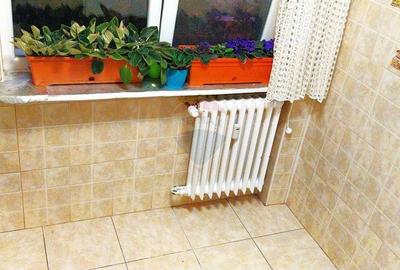 Apartament cu 2 camere de vanzare in zona 1 Mai Insula - 12