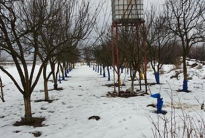 Teren de 2500 mp, în Careiului - 5