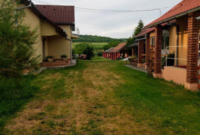 Casă cu 4 camere în Șintereag - 7