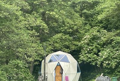 Casă cu 3 camere în Băile Herculane