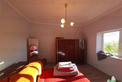 Casă cu 6 camere cu Teren 5470 Mp în Pantelimon - 14