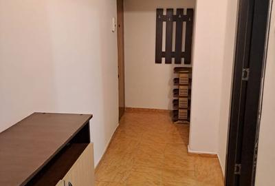 Apartament cu 2 camere semidecomandat în Craiovița Nouă - 11
