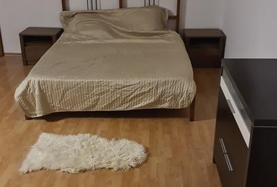 Garsonieră semidecomandată în Vitan - 2