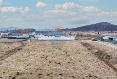 Teren Construcții intravilan de 500 mp, în Hărman - 6