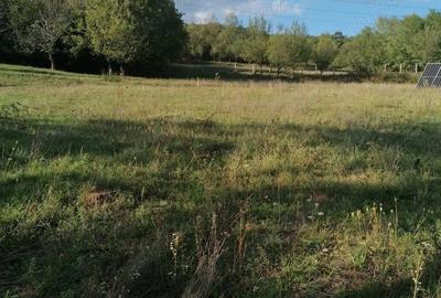Teren de 6000 mp, în Bobâlna - 3
