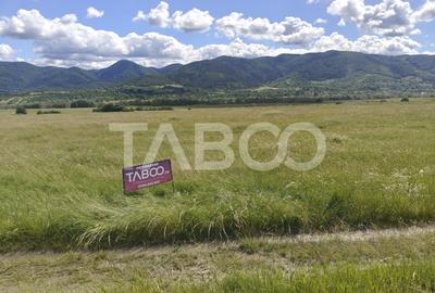 Teren agricol intravilan de 10000 mp, în Săliște - 6