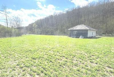 Casă cu 2 camere cu Teren 1760 Mp în Florești - 3