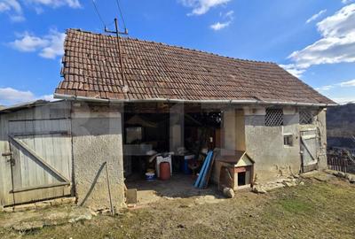 Casa cu farmec rustic, teren de 4887 mp - 2