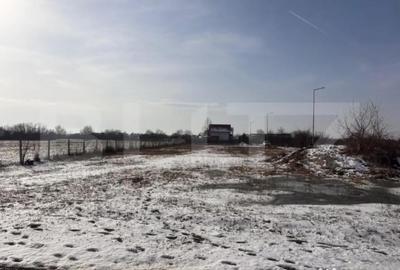 Teren de 447 mp, în Priseaca - 5