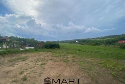 Teren 8000mp Daia noua - 6