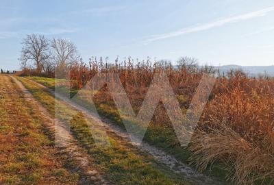 Teren intravilan 1152 mp in Rusi, cu acces la doua drumuri si utilitati in fata - 4