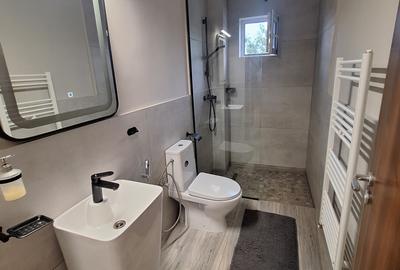 Apartament cu 2 camere semidecomandat în Iosefin - 12