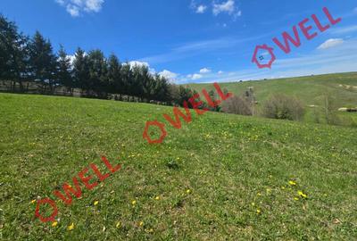 Teren extravilan de 8157 mp, în Sita Buzăului - 6