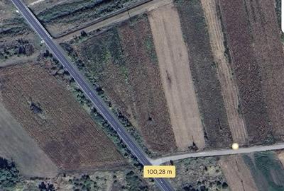 Teren de 3700 mp, în Gavojdia