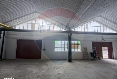 Spațiu comercial, de 435 mp, în Sânnicolau Mic - 8